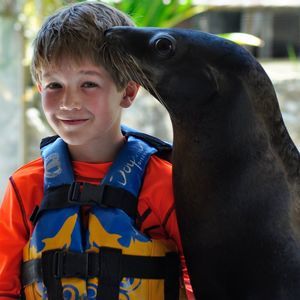 Meet your Posher, Shelly